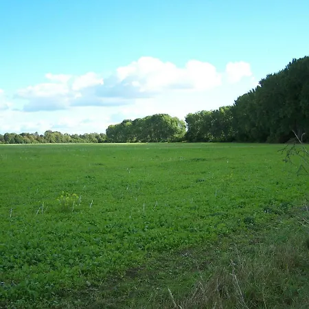 דירה 2-zimmerwohnung *