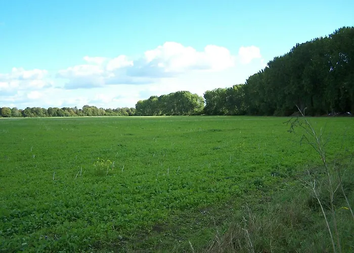 Apartamento 2-zimmerwohnung *